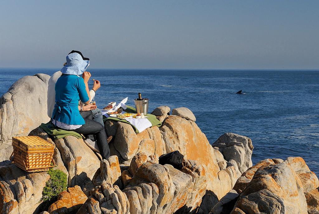 Grootbos Private Nature Reserve Gansbaai Exterior photo